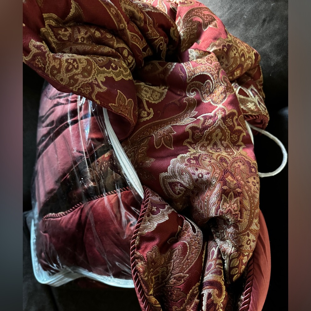 Queen size Comforter and shower curtain